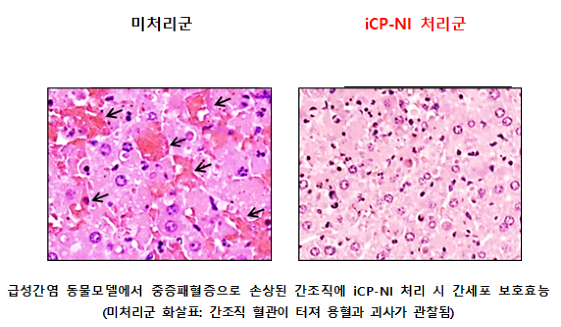 (자료제공=셀리버리)