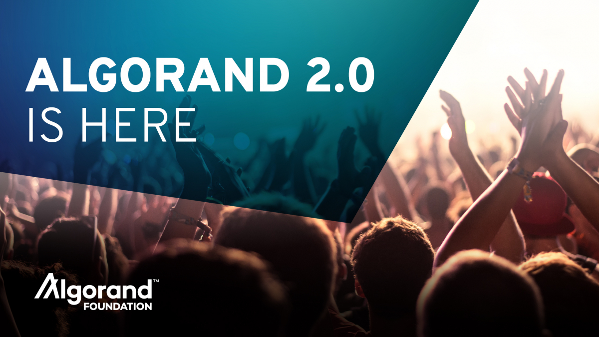 (알고랜드 제공)