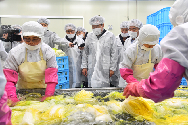 ▲이낙연 국무총리가 23일 강원도 평창군 대관령 원예농업협동조합을 찾아 배추공정 과정을 지켜보고 있다. (연합뉴스)