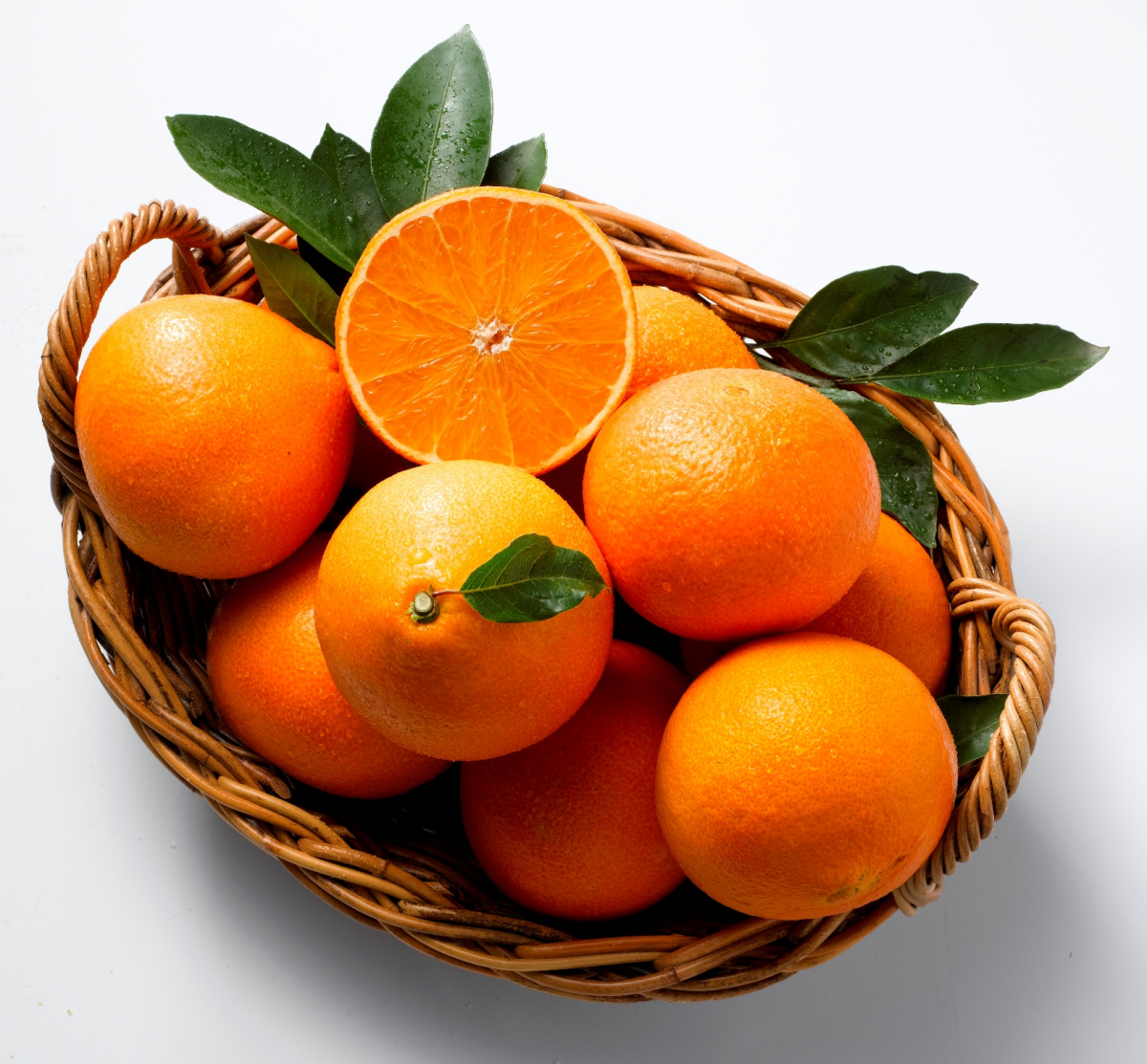 (사진제공=롯데쇼핑)