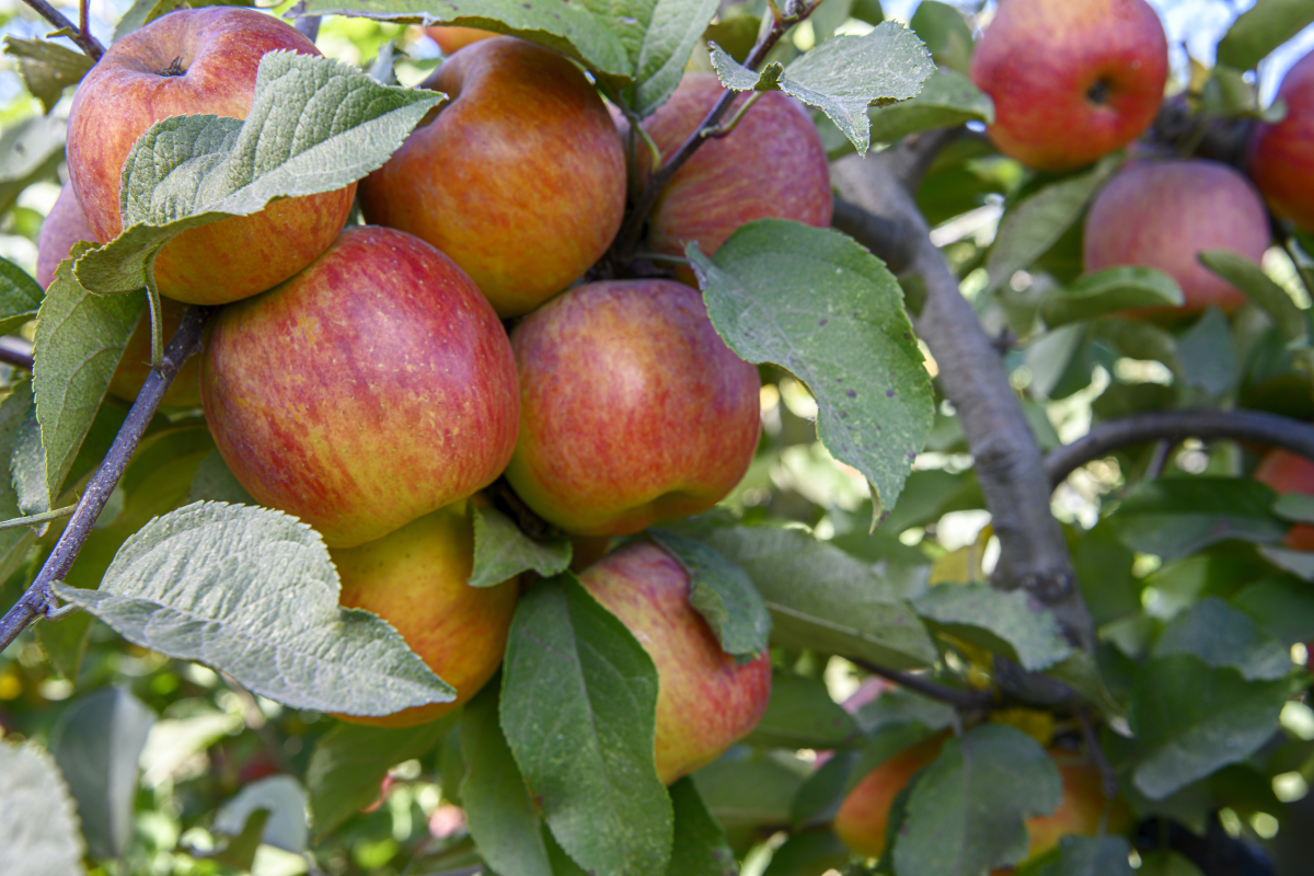 (게티이미지뱅크)