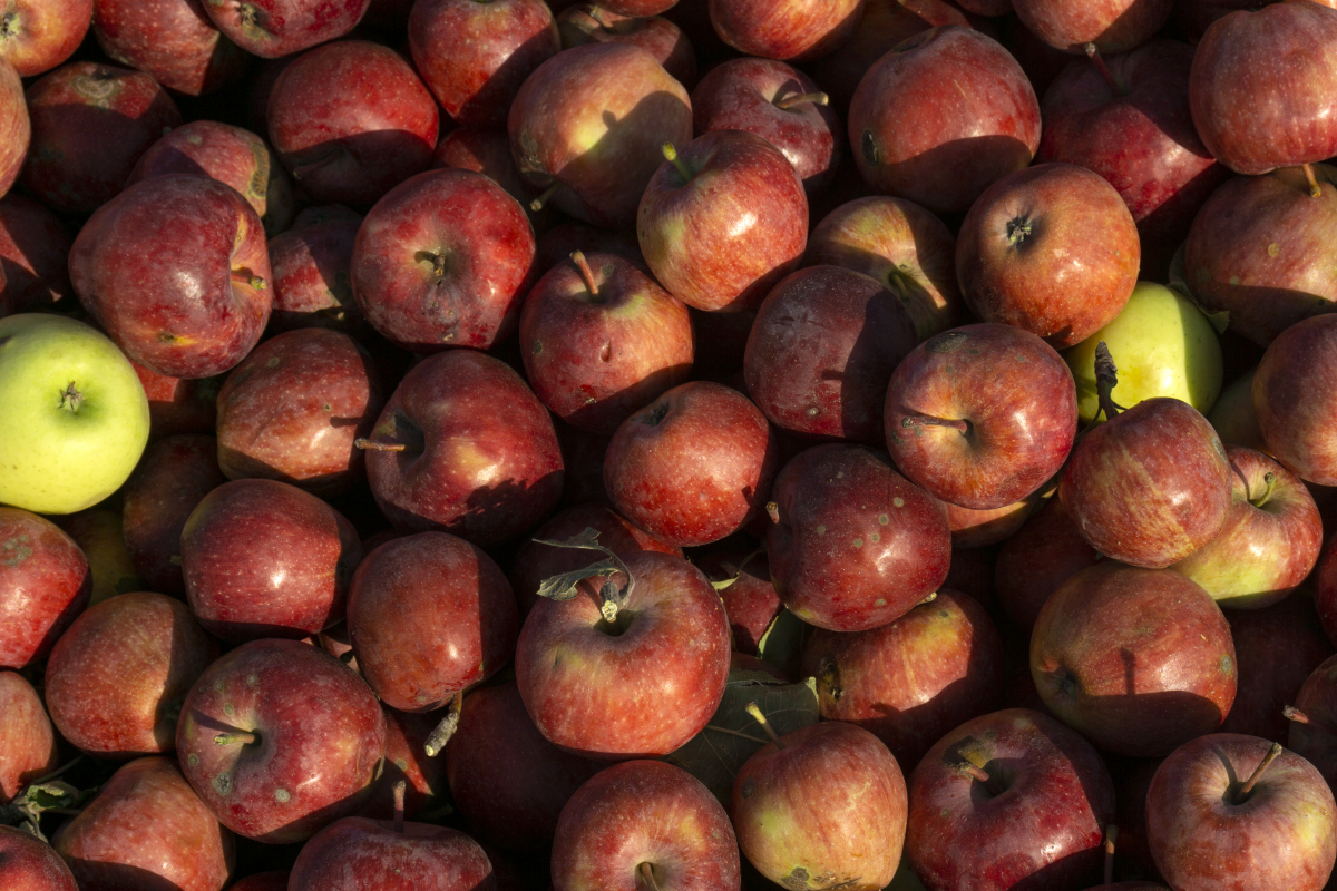 (게티이미지뱅크)