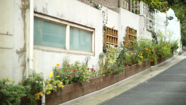 ▲'김영철의 동네 한 바퀴' 서울 정릉동, 삼선동(사진제공=KBS1)