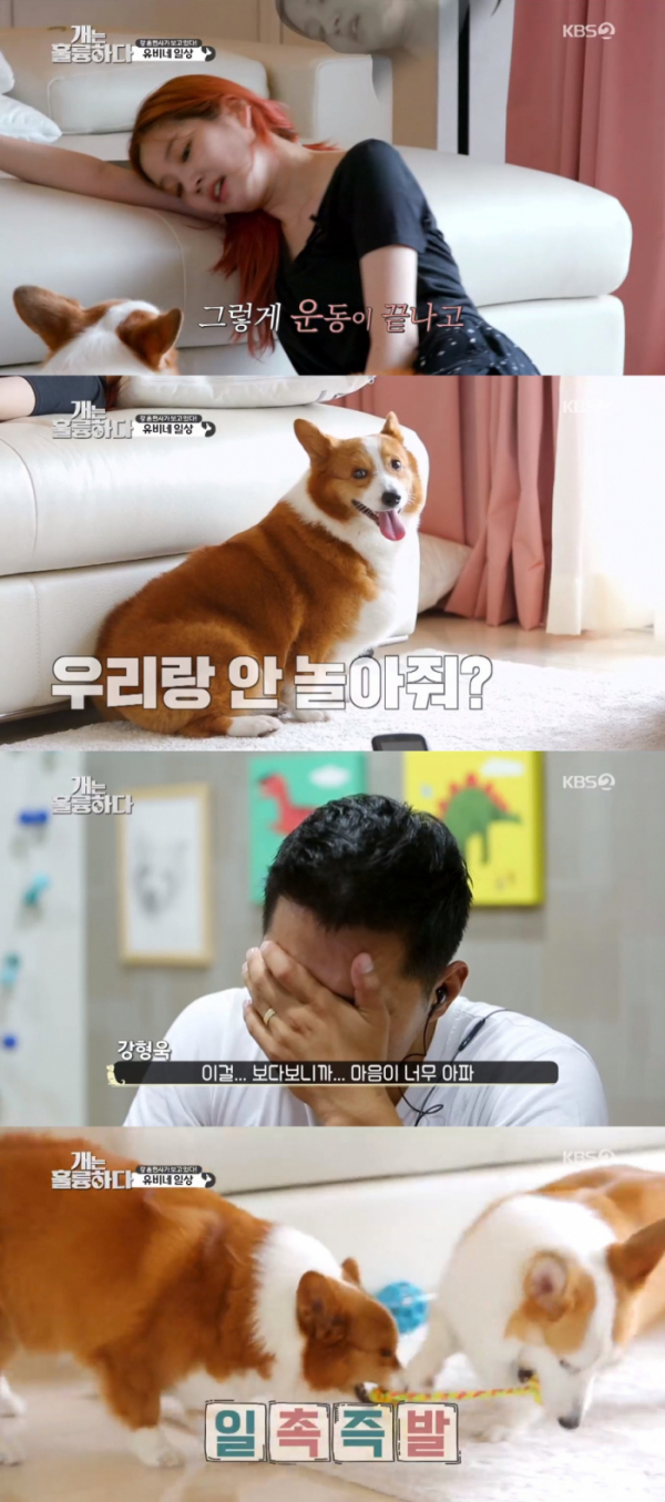 ▲개는 훌륭하다 이유비(사진=KBS2 '개는 훌륭하다' 방송화면 캡처)