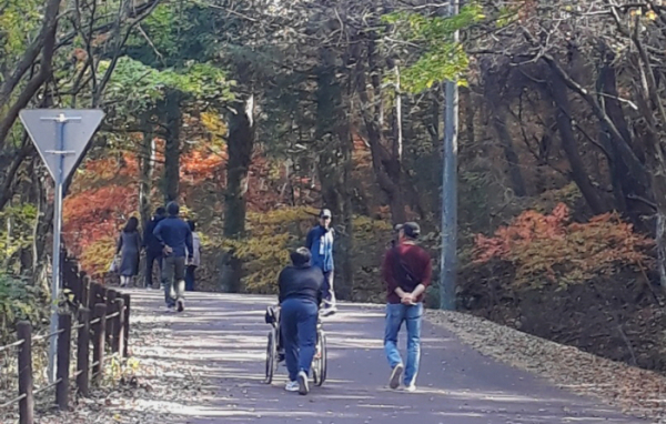 ▲무장애 탐방로 휠체어타고 가는 관광객