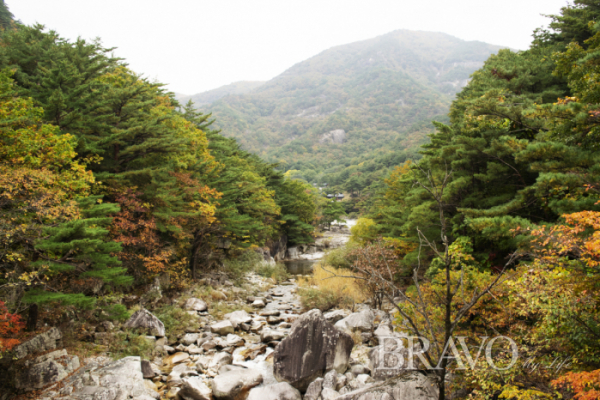 ▲무릉계곡의 가을(서동환 동년기자)