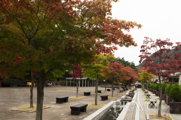 ▲동해시 무릉계곡 등산로 입구(서동환 동년기자)