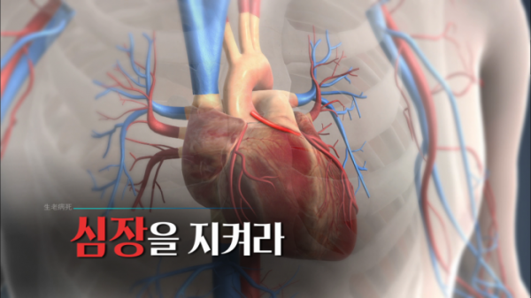 ▲'생로병사의 비밀'(사진제공=KBS1)