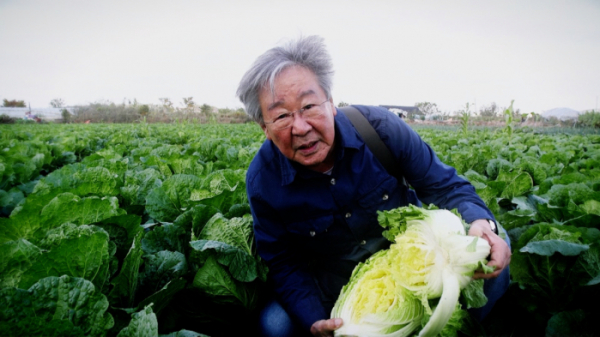 ▲'한국인의 밥상' 김장(사진제공=KBS1)