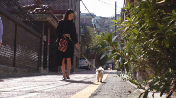 ▲'TV동물농장'(사진제공=SBS)