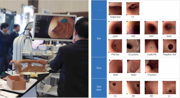 ▲16일 경주 화백컨벤션센터에서 열린 대한소화기내시경학회에 참가한 애니메디솔루션 전시부스에서 EGD Simulator로 내시경 시연 중인 학회 참가자 모습(왼쪽)과 EGD Simulator 내부 촬영 영상 예시(오른쪽) (애니메디솔루션)