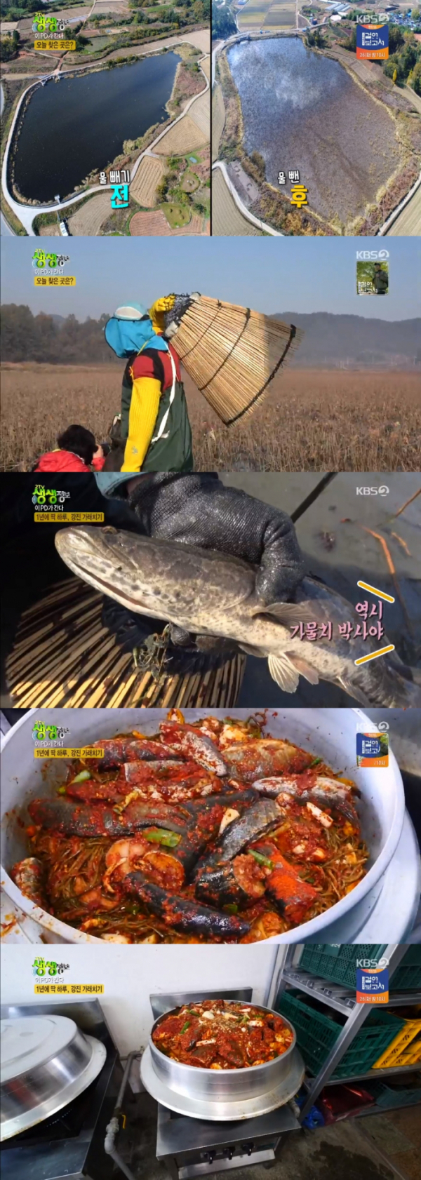 ▲'2TV 생생정보' 이피디가 간다(사진=KBS2 '2TV 생생정보' 방송화면 캡처)