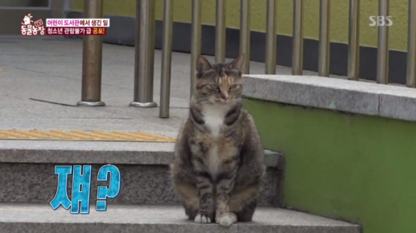 ▲동물농장 배기(사진=SBS 'TV 동물농장' 방송화면 캡처)