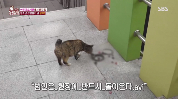 ▲동물농장 배기(사진=SBS 'TV 동물농장' 방송화면 캡처)