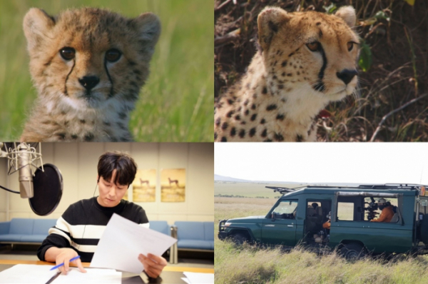 ▲'라이프 오브 사만다' 프리퀄(사진제공=SBS)