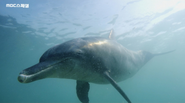 ▲'MBC스페셜'(사진제공=MBC)