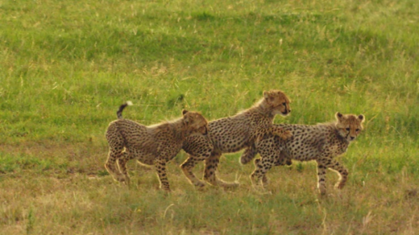 ▲'라이프 오브 사만다'(사진제공=SBS)