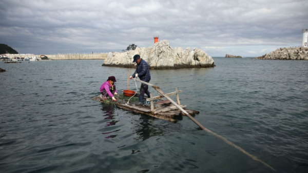 ▲'김영철의 동네 한 바퀴' 삼척 도계, 원덕 (사진제공=KBS1)