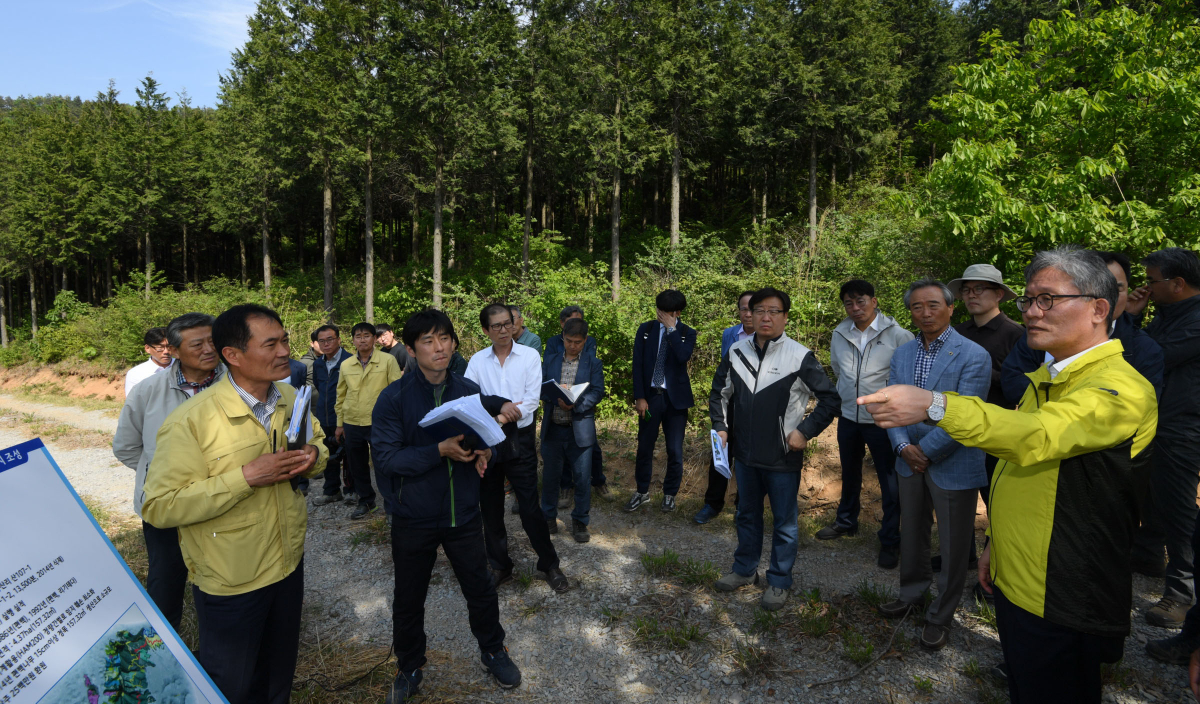 ▲김재현(오른쪽) 산림청장이 전남 보성군 봉화산 선도산림경영단지에서 사업 추진 현황을 점검하고 있다. (사진제공=산림청)