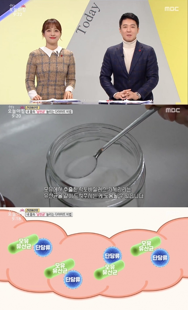 ▲모유 유산균 락토바실러스 가세리(사진=MBC '생방송 오늘아침' 방송화면 캡처)