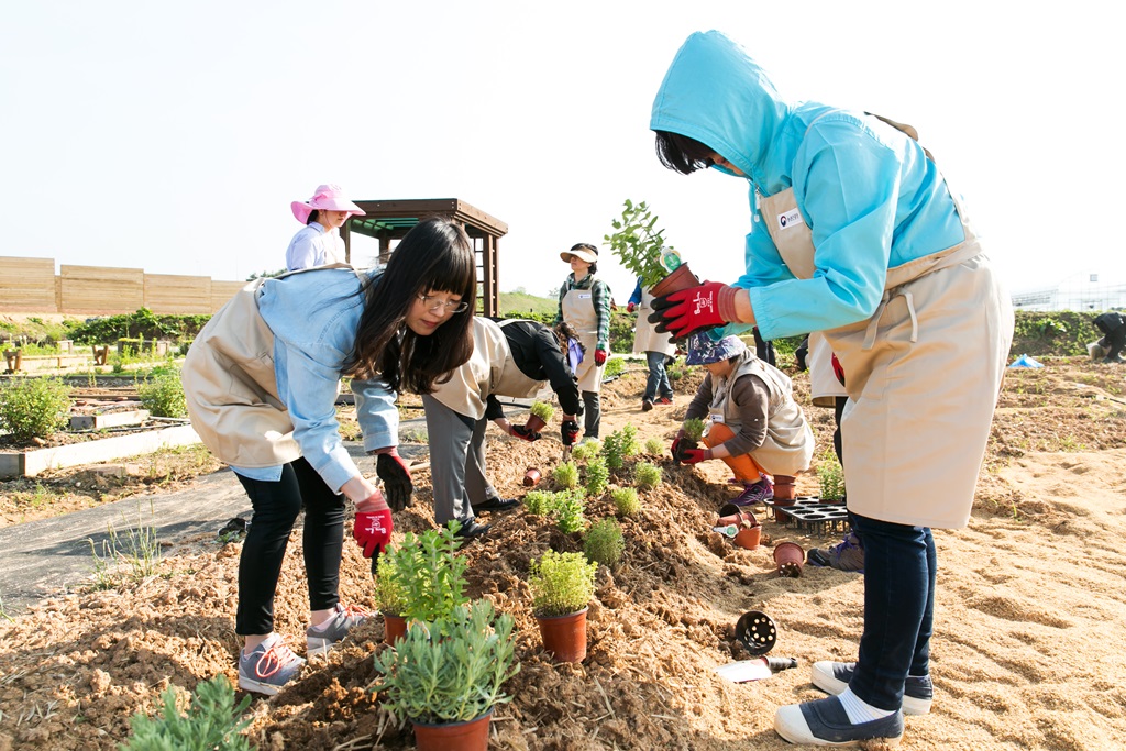 ▲농촌진흥청이 중학교 자유학기제에 적용중인 '학교 텃발 활용 프로그램'. (사진제공=농촌진흥청)