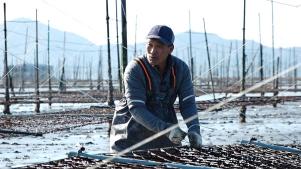 ▲'사노라면' 도초도 곱창김 양식(사진제공=MBN)