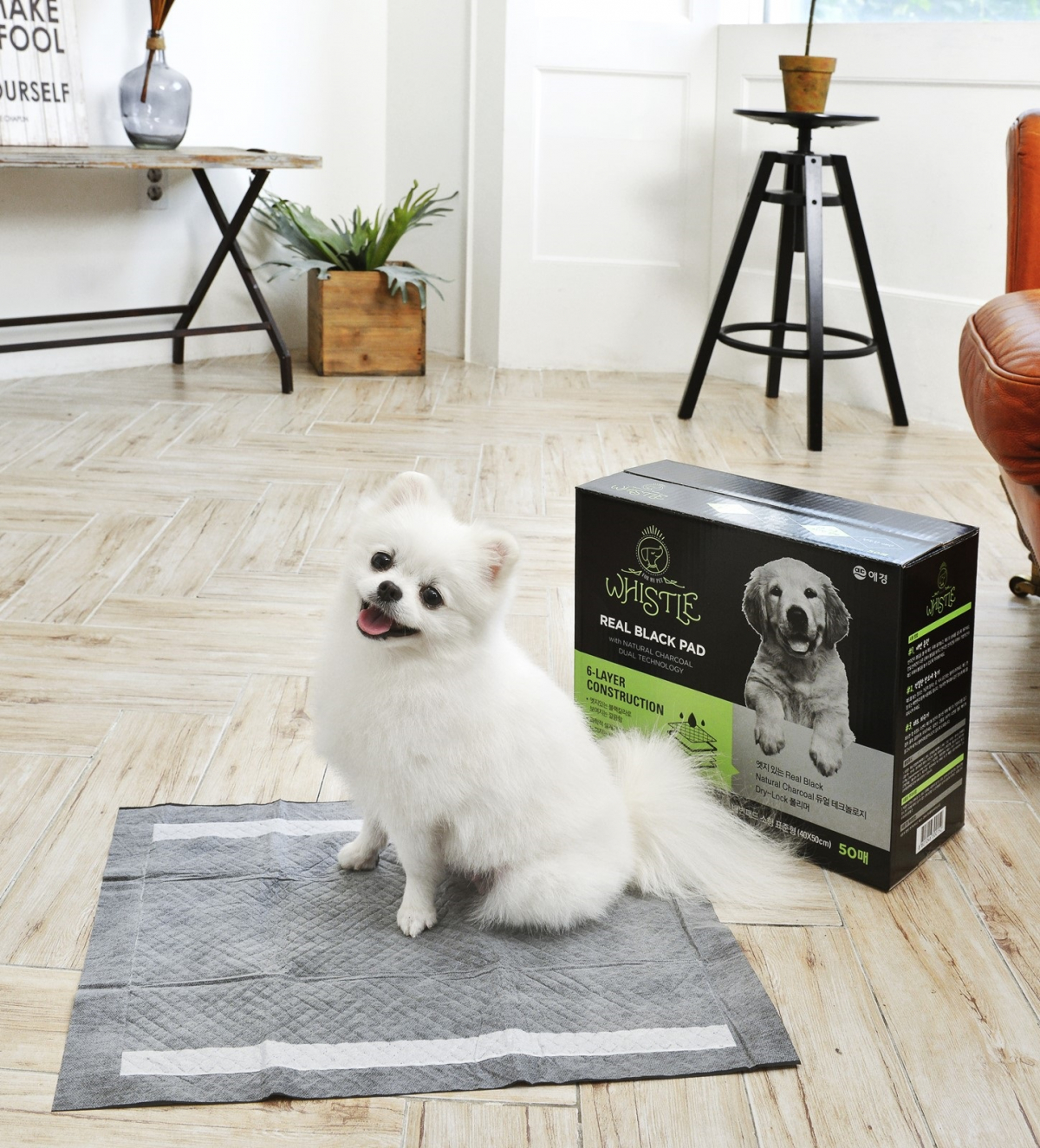 ▲휘슬 리얼블랙 배변패드 (애경산업)