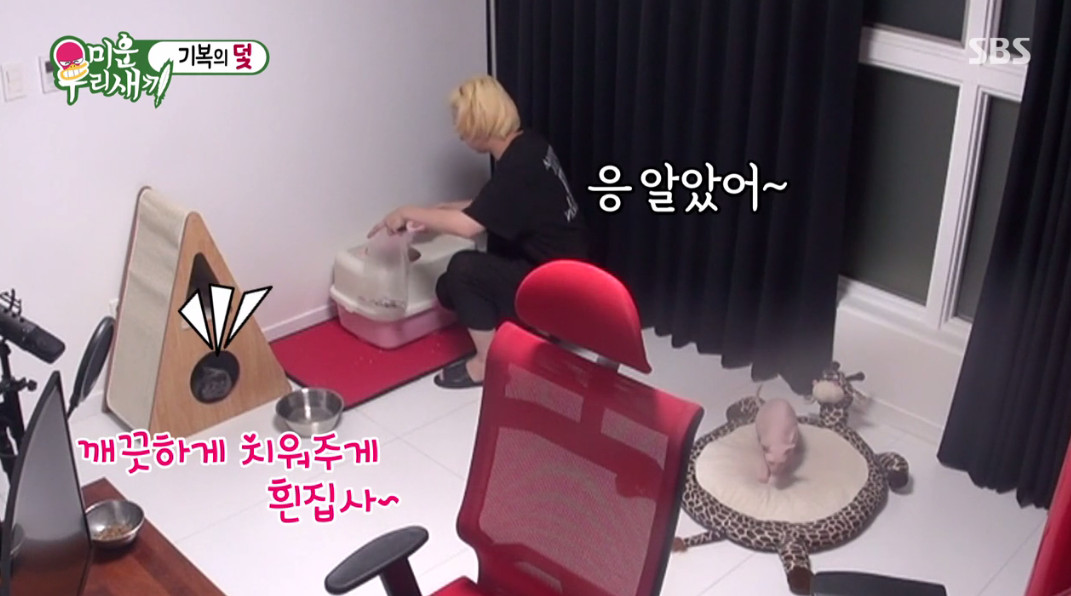 (출처=SBS '미운우리새끼')