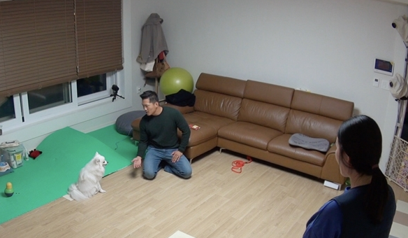 ▲'개는 훌륭하다'(사진제공=KBS 2TV)