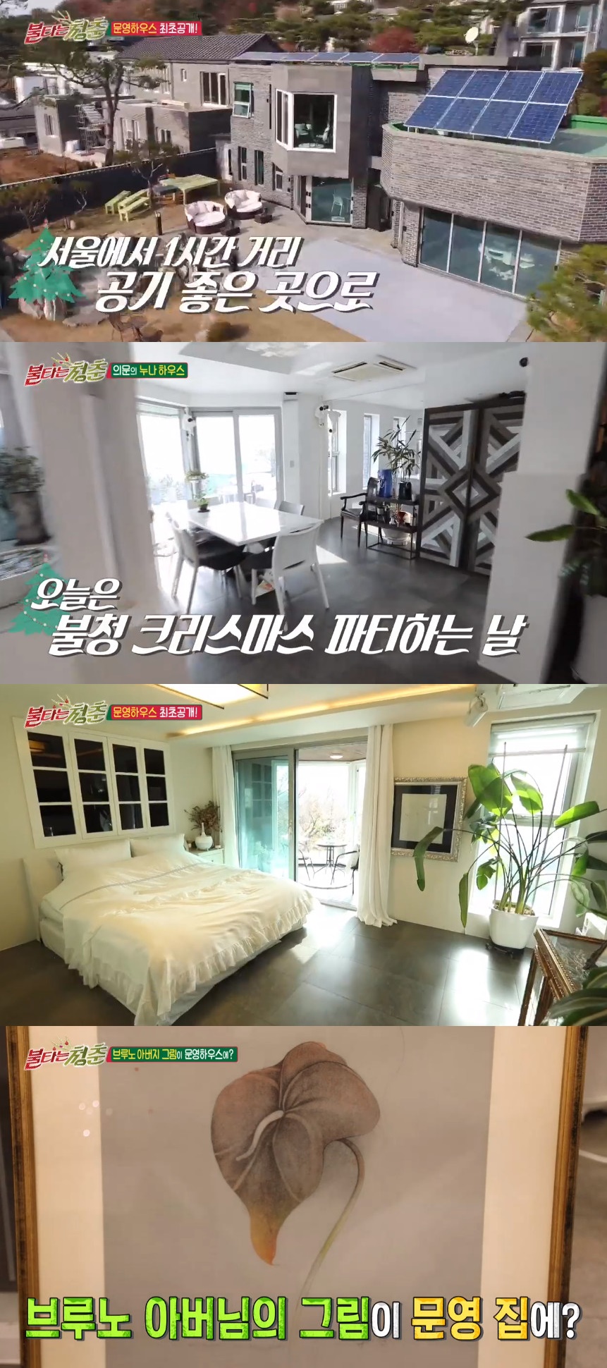 (출처=SBS '불타는 청춘' 방송캡처)