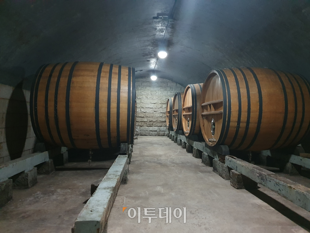 ▲거대한 술통들을 보관하고 있는 지하저장소. 김소희 기자 ksh@