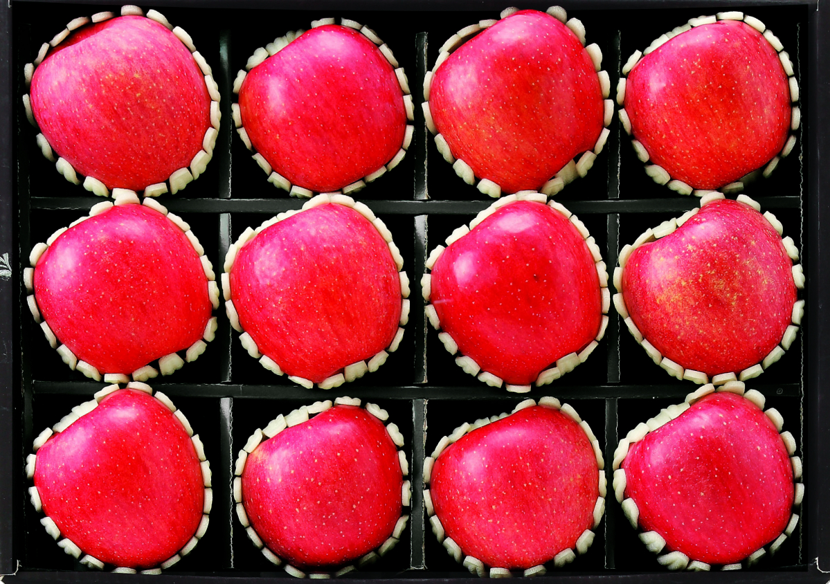 (사진제공=이마트)