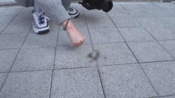 ▲'TV 동물농장'(사진제공=SBS)