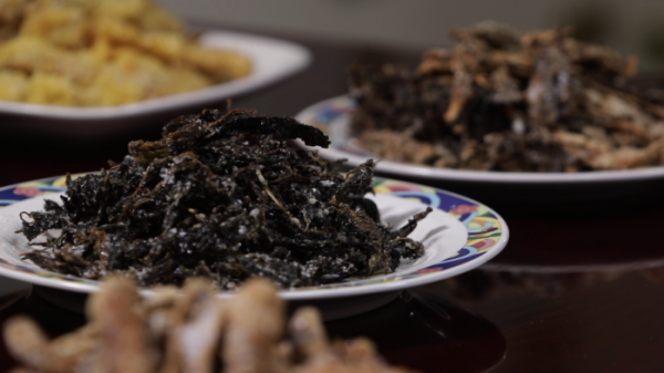 ▲'한국인의 밥상'(사진제공=KBS1)