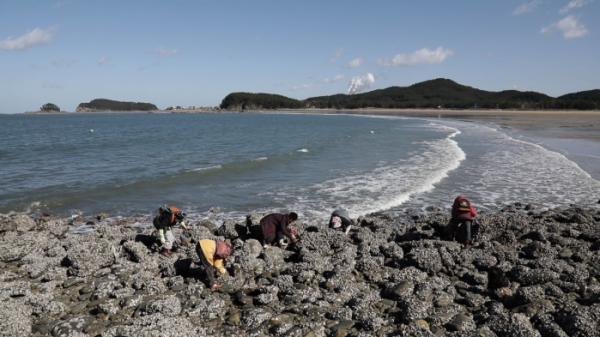 ▲'한국인의 밥상'(사진제공=KBS1)