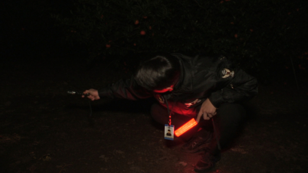 ▲'다큐멘터리 3일 '제주 감귤(사진제공=KBS1)