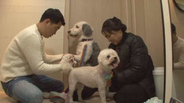 ▲'순간포착 세상에 이런 일이'(사진제공=SBS)