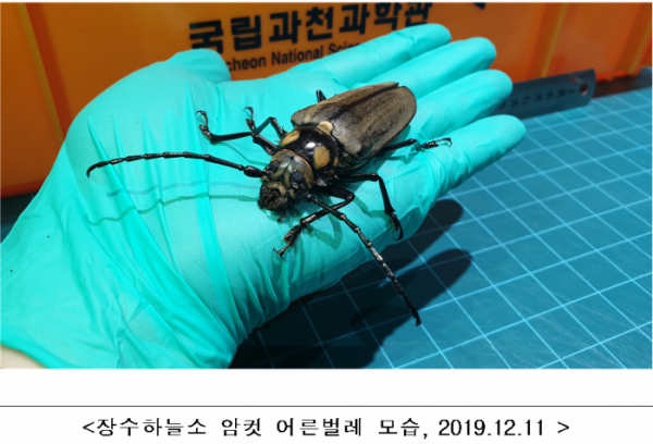 (사진제공=국립과천과학관)