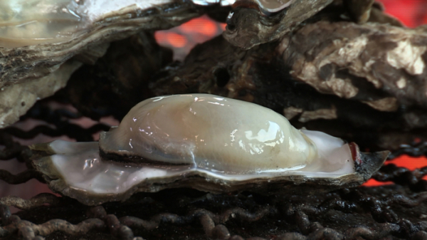 ▲'다큐멘터리 3일'(사진제공=KBS 1TV)