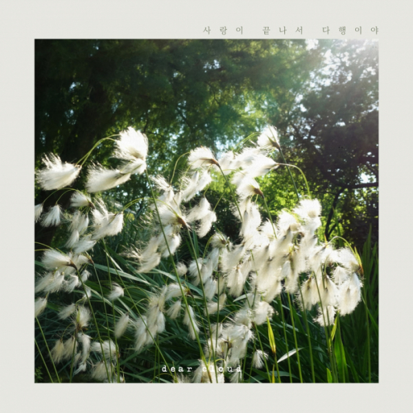 ▲디어클라우드(사진 = 엠와이뮤직)