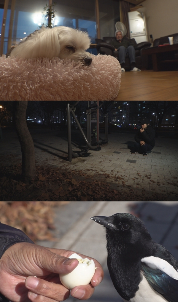 ▲'순간포착 세상에 이런일이' 엑스파일(사진제공=SBS)