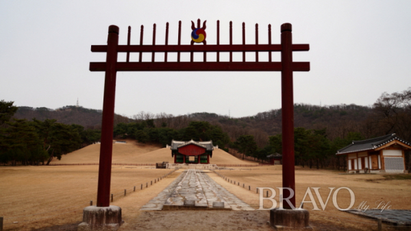 (사진 =서동환 동년기자)