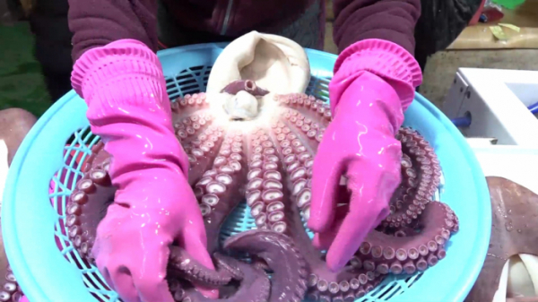 ▲'다큐멘터리 3일'(사진제공=KBS 1TV)