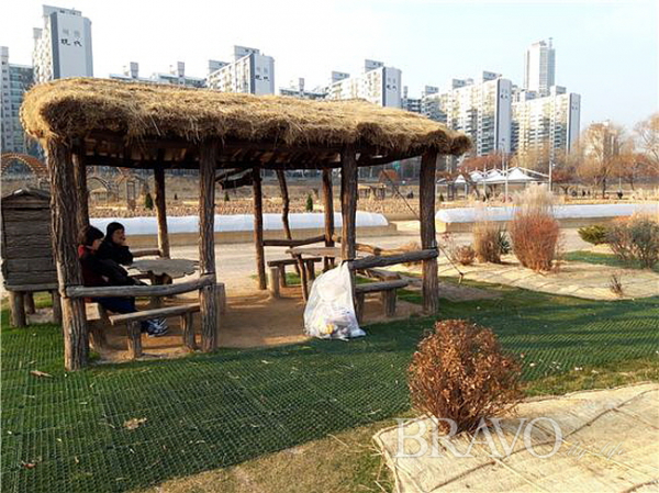 ▲장미공원 주변 겨울철 잔디와 나무를 관리하는 모습(홍지영 동년기자)