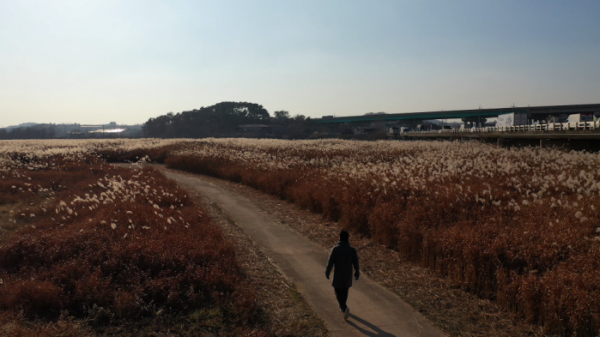 ▲'김영철의 동네 한 바퀴' 경기도 평택(사진제공=KBS1)