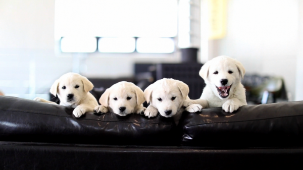 ▲'김영철의 동네 한 바퀴' (사진제공=KBS1)