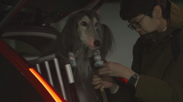 ▲'동물농장'(사진제공=SBS)