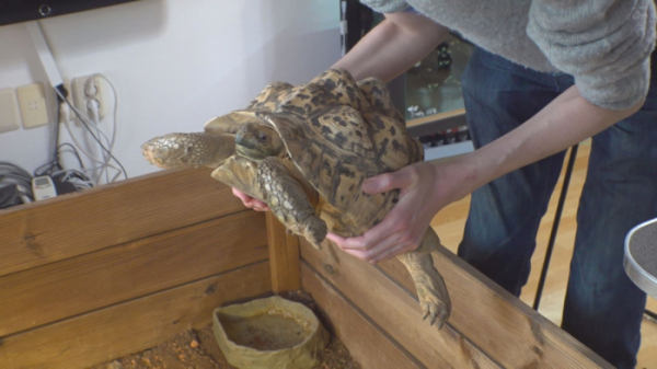 ▲'동물농장'(사진제공=SBS)