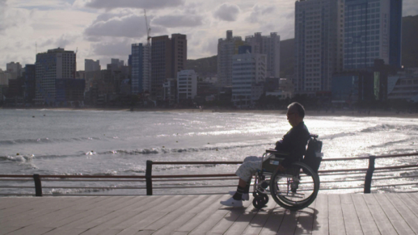 ▲'SBS'스페셜' ‘요한. 씨돌. 용현’(사진제공=SBS)