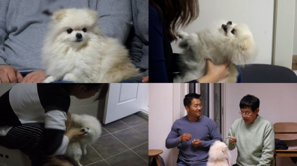 ▲‘개는 훌륭하다’ (사진제공=KBS 2TV)